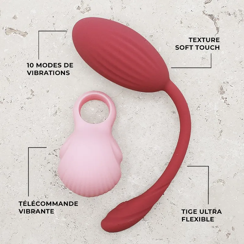 tama-oeuf-vibrant-et-telecommande-vibro-clito (3).webp